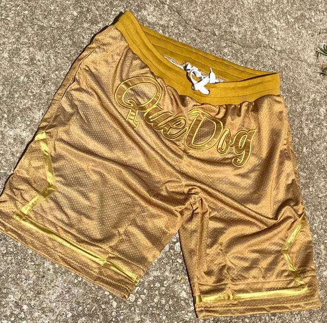 All Gold Everything Que Dog